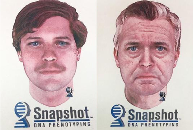 Портрет предполагаемого преступника на основе ДНК-анализа