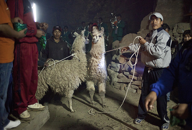 Горняки из Потоси готовят лам к жертвоприношению