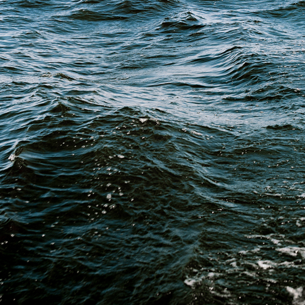 Молога Фото Под Водой