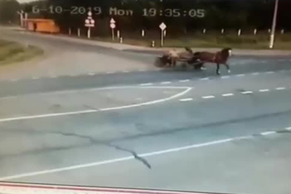 Россиянин на автомобиле на полной скорости снес телегу с людьми и попал на видео