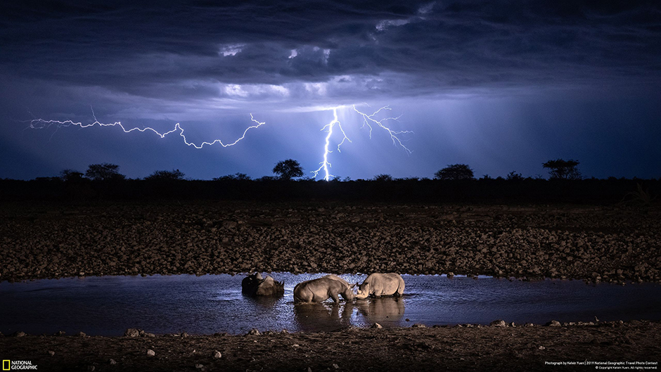 «Это была моя первая поездка в Африку. Группа носорогов пришла на водопой в ночи, а в небе над ними полыхали молнии. В ту ночь я сделал более десяти тысяч кадров, чтобы получить этот снимок», — рассказал историю фотографии ее автор Кельвин Юен. 