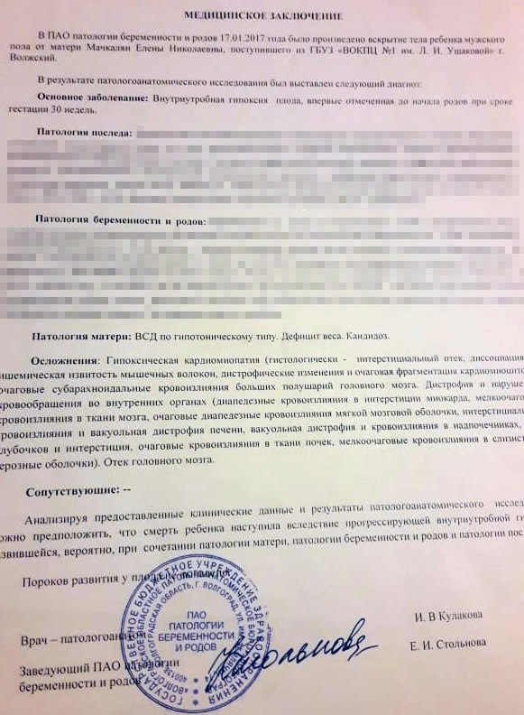 Документы, содержащие фальсифицированные данные о причинах смерти Елены и Романа Мачкалянов