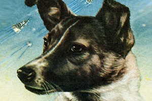 Просто космос Британский фотограф влюбился в советских псов-космонавтов. Он разыскивает их по всему миру