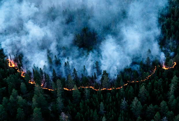Лесной пожар в тундре в районе реки Лосинга в Мурманской области. 2018 год