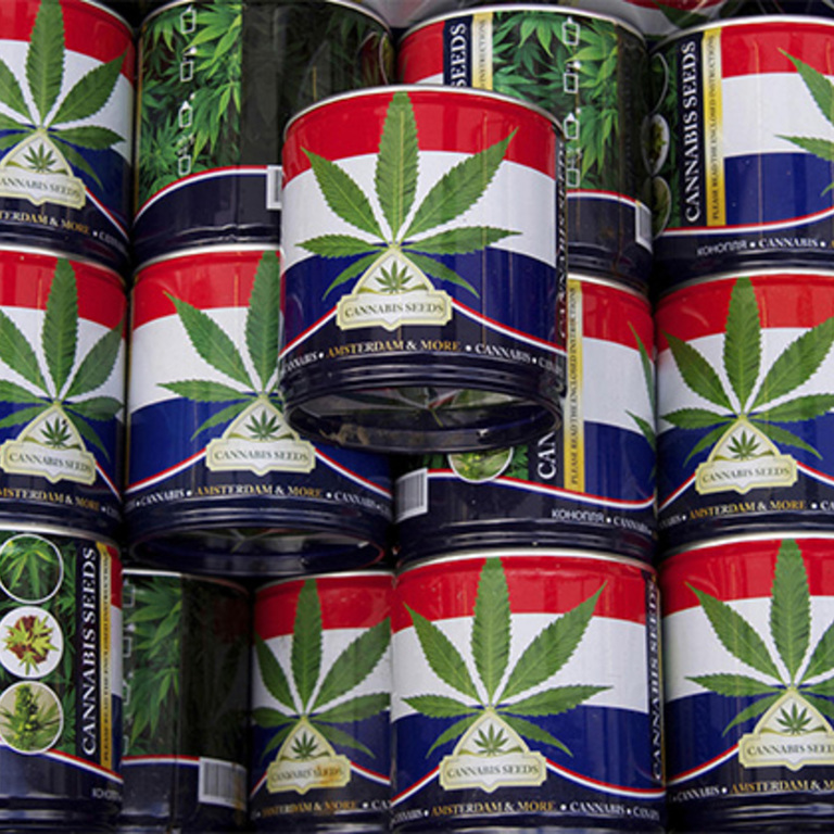 Наркотики в голландии вот он вред марихуаны