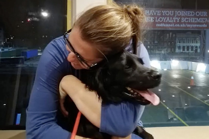 Семья воссоединилась с потерянной собакой спустя шесть лет