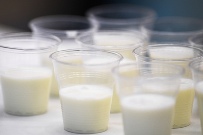 Названа опасная для человека доза молочных продуктов