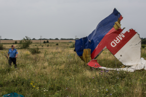 Евросоюз призвал Москву признать вину за крушение MH17 Самолет над Донбассом уничтожил «Бук»: что еще известно о катастрофе спустя пять лет?