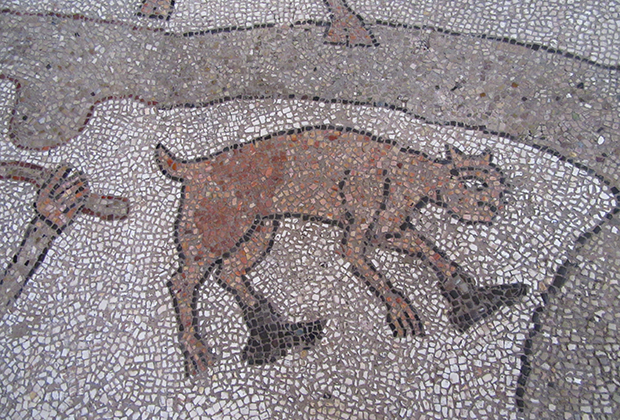 Кот в сапогах. Мозаика XI века в Кафедральном соборе в Отранто 