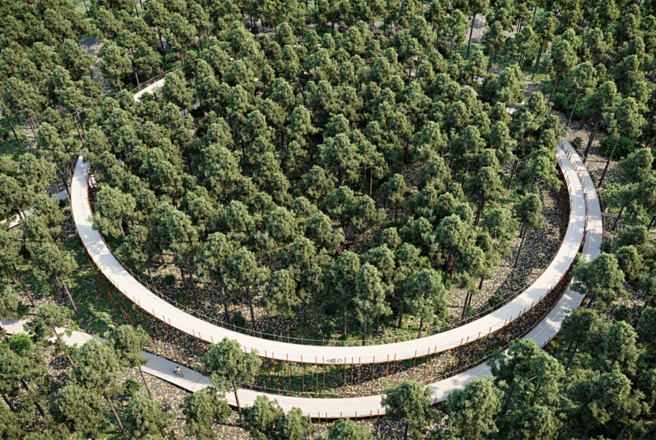 Еще один бельгийский велоаттракцион — дорожка, проложенная прямо в лесу. Трасса поднимается на десятиметровую высоту и проходит среди верхушек деревьев. Лимбург вообще сильно ориентирован на любителей покататься: в регионе действует сеть из 272 веломаршрутов.