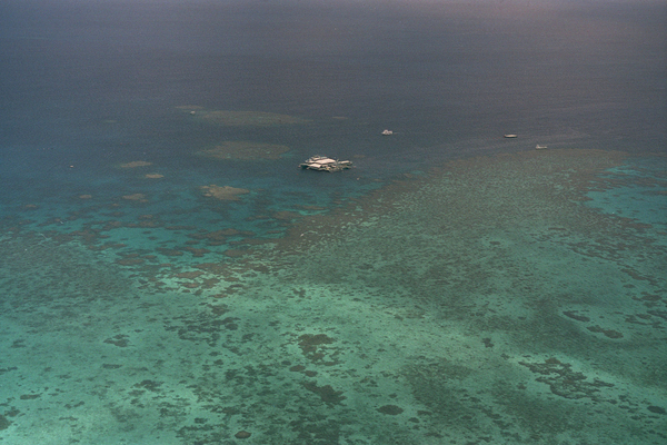 Умирающий коралловый риф