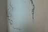 Фоторобот неизвестного преступника, составленный 9 февраля 1996 года