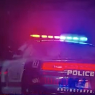 В Детройте полицейский забыл в раскаленной машине служебную собаку