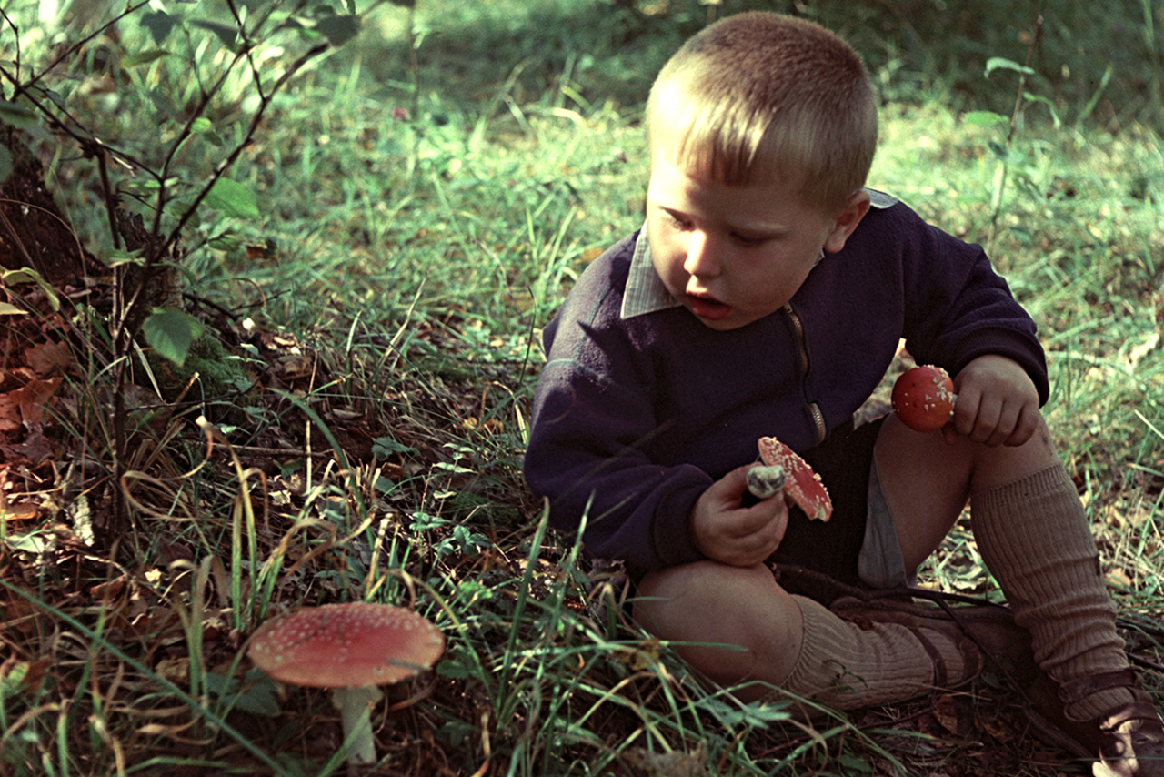 Боюсь есть грибы. Пацан ест мухомор. Ест мухомор. Мальчик с грибами. Человек ест грибы.