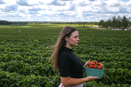 Россия накормит всех своими органическими продуктами. Это принесет стране миллиарды