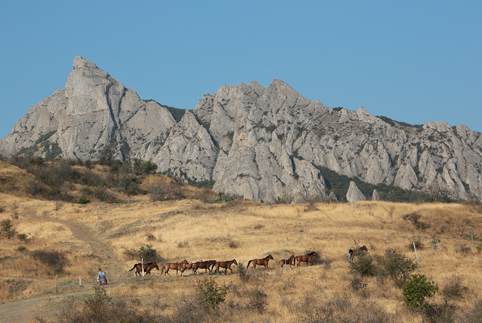 Типичный ландшафт горного Крыма