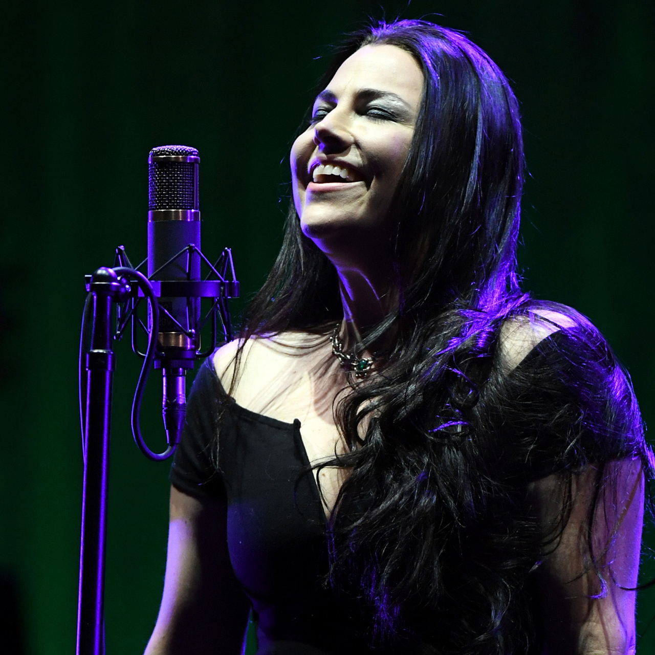 Evanescence Lead Singer Amy Lee