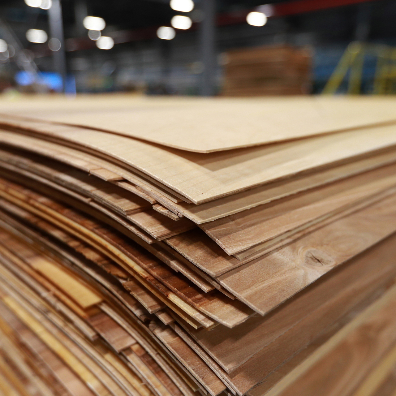 фанера 1525*1525*10мм с фк сорт4/4. фанера кусочки прямоугольные. дубовый мебельный щит на фанере. деревянный лист. кусок фанеры.