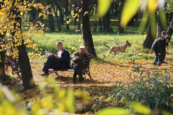 Вводная картинка