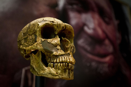 Найдена неожиданная причина вымирания неандертальцев