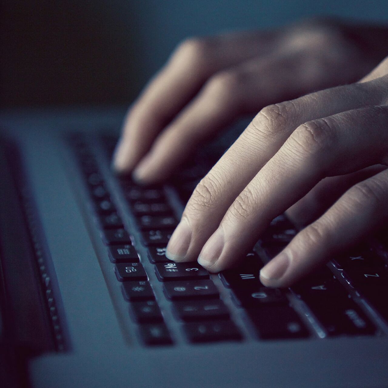 lenta darknet mega2web