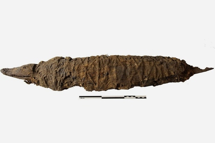 Раскрыта загадка древней египетской мумии