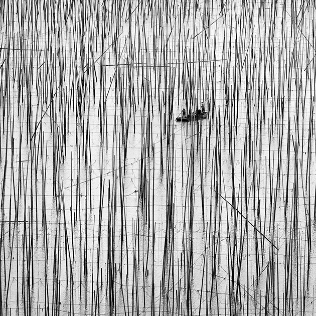 Бесконечная любовь к природе — вот что определяет творчество бразильского фотографа Александра Манюэля. Он обожает снимать пейзажи, но в последнее время ему становится все сложнее и сложнее найти нетронутый человеком уголок. Одно из фото своей серии «Затерянные в абстракции» он снял на ферме, где выращиваются водоросли. Манюэль неслучайно решил запечатлеть ферму зимой, когда над водой видны лишь голые стебли растений. Таким образом он хотел показать масштаб потребления современного человечества, которое сложно насытить. 