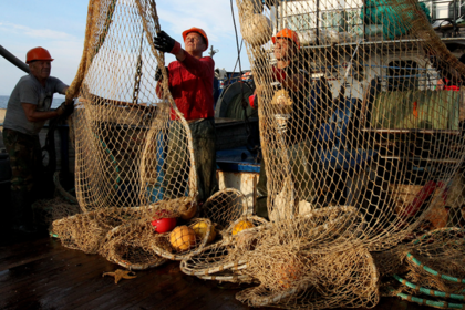 За ловлю рыбу в России захотели брать в десятки раз больше