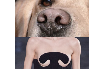 Платье супермодели высмеяли за похожее на ноздри собаки декольте