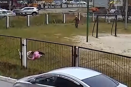 В России бультерьер напал на детей в школьном дворе