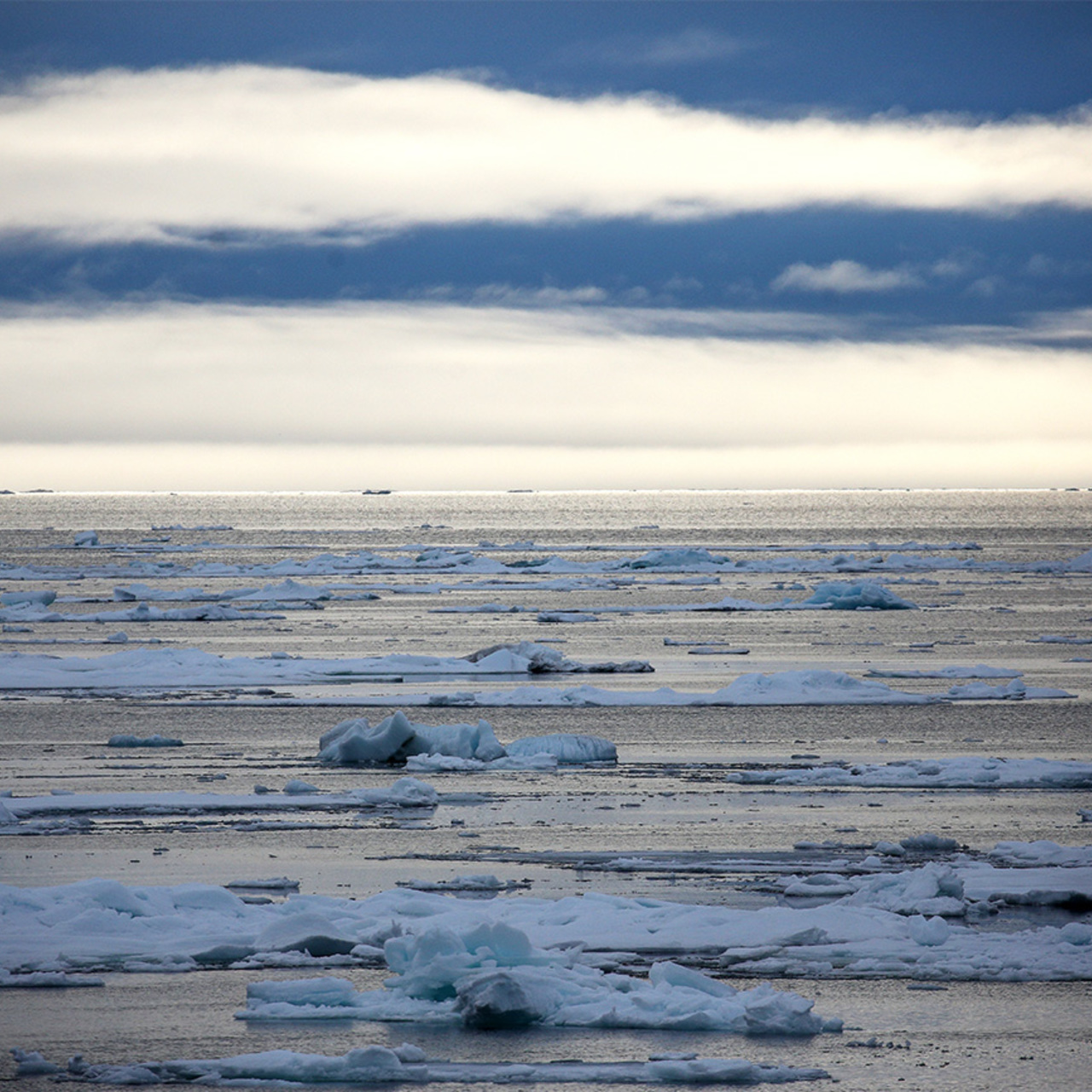 Материковая отмель шельф Северного Ледовитого океана