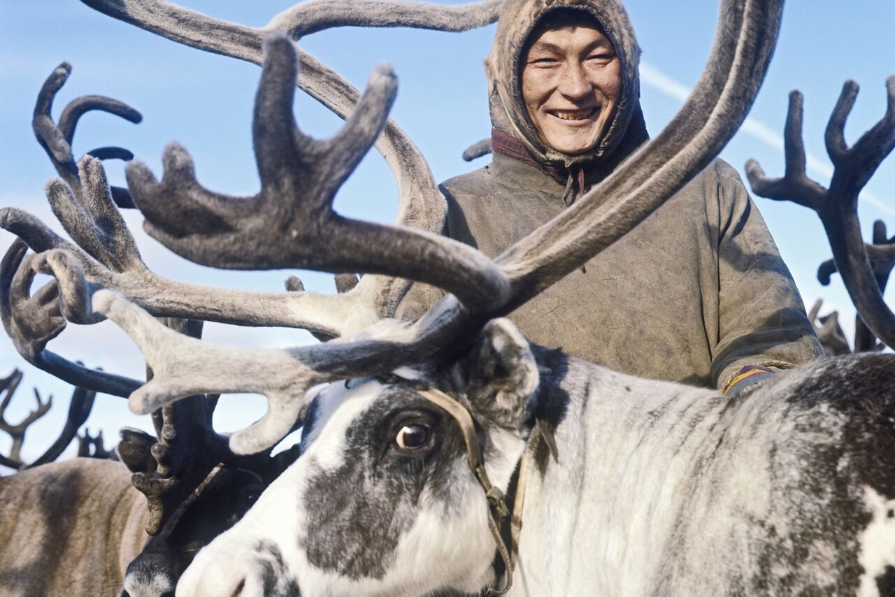 Чукчи ненцы эскимосы. Кто такие люди с севера. Ненцы кочуют таймыр. Ненцы оленеводы. Кто такие люди с севера.