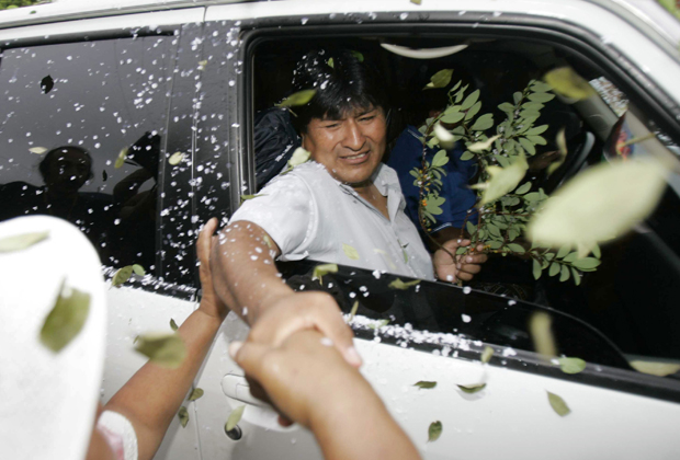 Сторонники Эво Моралеса закидывают его автомобиль листьями коки, 2005 год