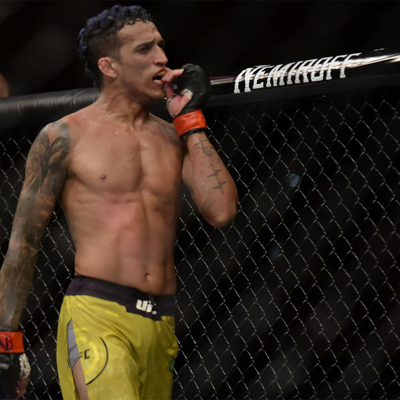 Оливейра боец UFC