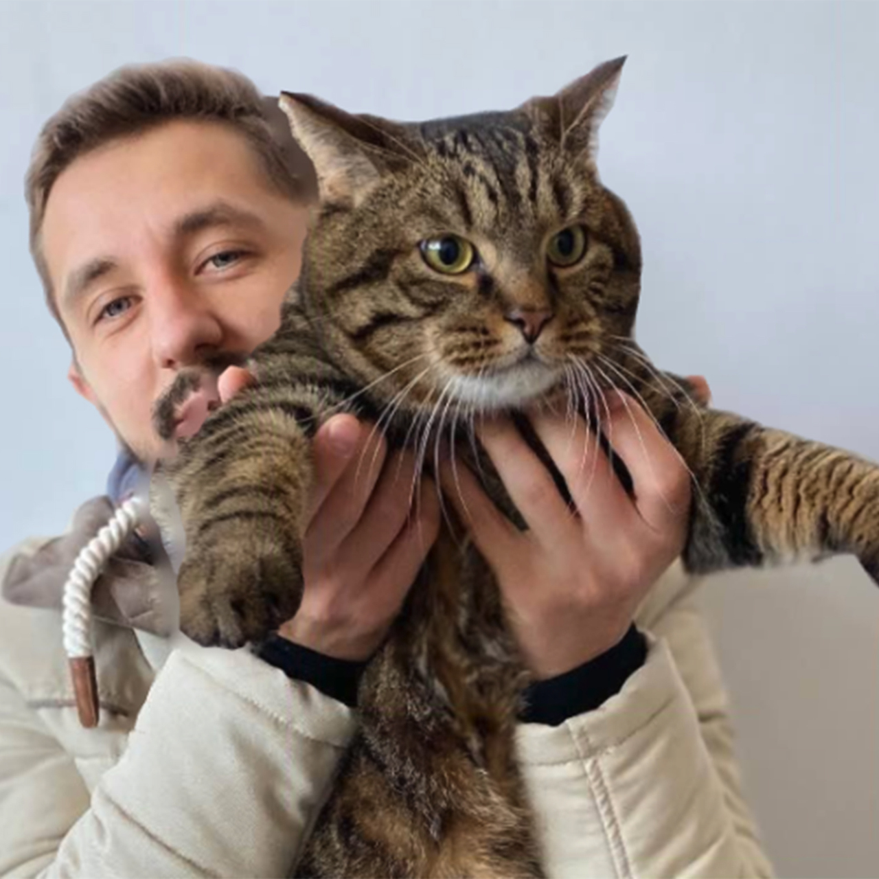 zavodchiki koshek raskritikovali passazhira s kotom za narushenie pravil aeroflota proisshestviya rossiya lenta ru