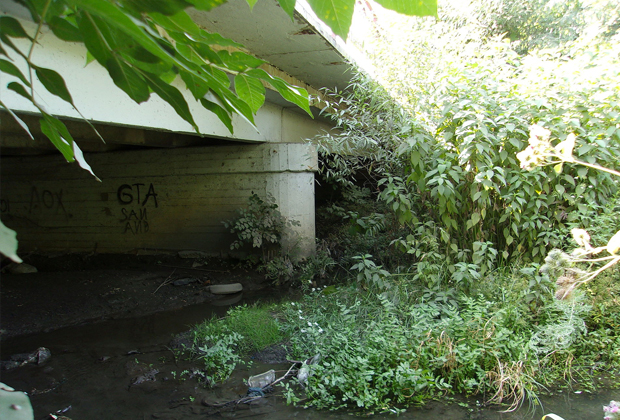 Мост, под которым была найдена одна из жертв Андрея Чикатило