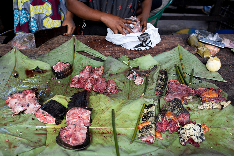 Прилавки рынков Мбандаки ломятся от мяса диких животных. Здесь можно найти куски крокодилов и варанов, только что забитых обезьян, ноги лесных антилоп.