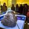 Метеорит в Краеведческом музее в Челябинске 