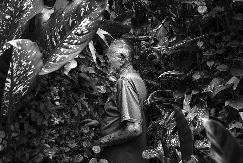 В центре Рио-Де-Жанейро есть старый дом с садом, за которым ежедневно ухаживает 90-летний старик. После того как девять лет назад умерла его жена, сад стал для него делом всей жизни и настоящей страстью. Он полностью отдается его красоте, сочиняя баллады, вмещающие в себя и восхищение природой, и тоску по ушедшей спутнице. 