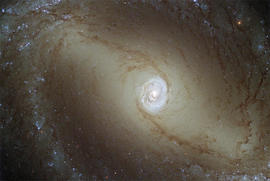На снимке запечатлены окрестности галактики NGC 1433, находящейся на расстоянии около 32 миллионов световых лет. Это тип очень активной спиральной галактики, известной как сейфертовская галактика, с ярким центром.