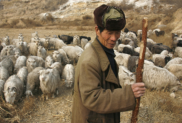 Китайский пастух в старой армейской ушанке, 2009 год