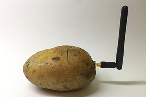 Будущее, которое мы заслужили Умная картошка, новые вибраторы и идиотские изобретения главной выставки технологий