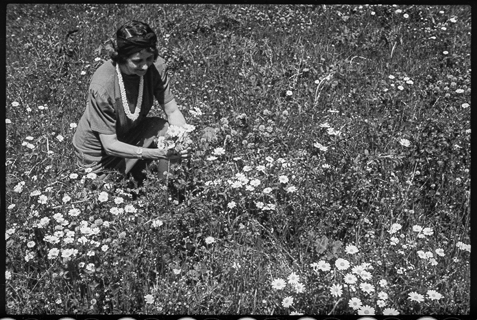 Супруга В. Крамера собирает цветы. Германия, 1942 год.