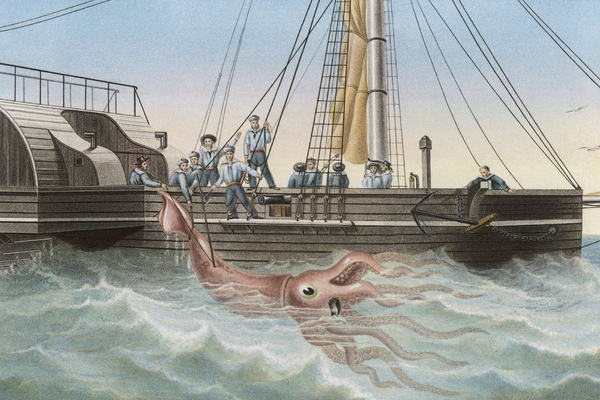 Гигантский кальмар, пойманный французским судном «Алекто». Тенерифе, 30 ноября 1861 года