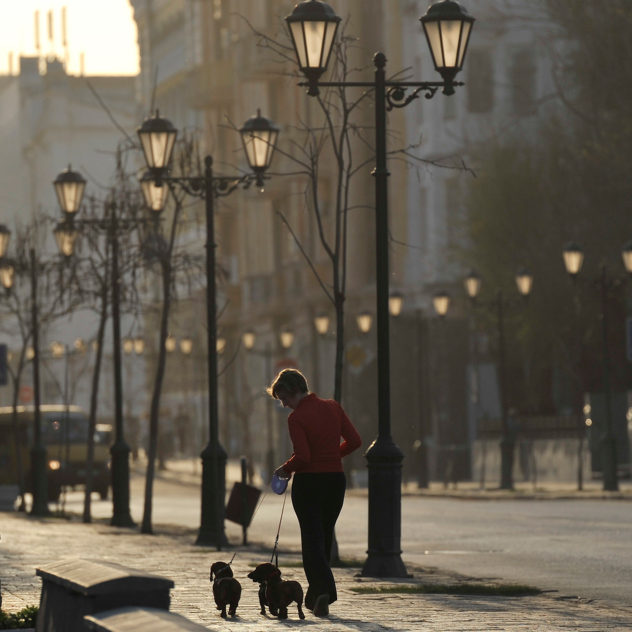 Город зовет