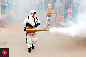 «Прогноз неутешительный» Чем опасен смертоносный коронавирус из Китая