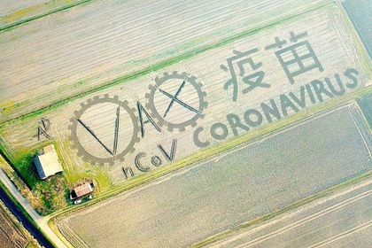 Художник нарисовал коронавирус на поле с помощью трактора