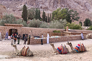 Паломники встречают рассвет на горе Синай