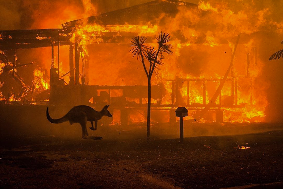 Лесные пожары в Австралии не удавалось потушить несколько месяцев: рекордная засуха и сильный ветер помогали огню распространяться. К концу января 2020 года австралийские власти сообщили, что жертвами пожаров стали 30 человек. Было уничтожено три тысячи домов. Огонь выжег 12 миллионов гектаров земли. Погибло около миллиарда животных.