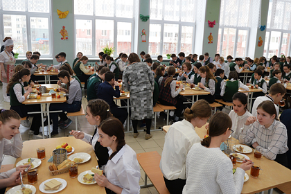 На горячее питание российского школьника потратят 44 рубля